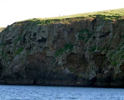 Island Cliffs