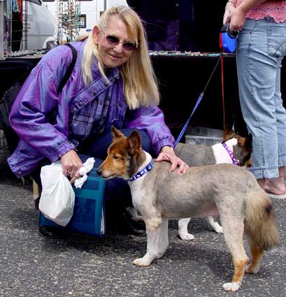 Sharon & Shelties