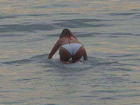 Bikini Surfer