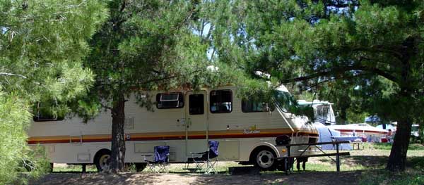 Bounder In The Pines