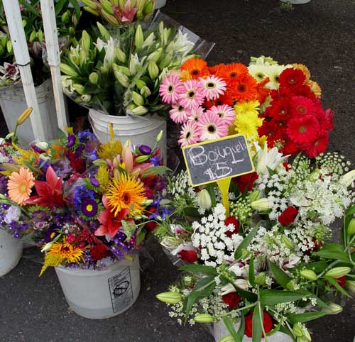Farmer's Market Flowers