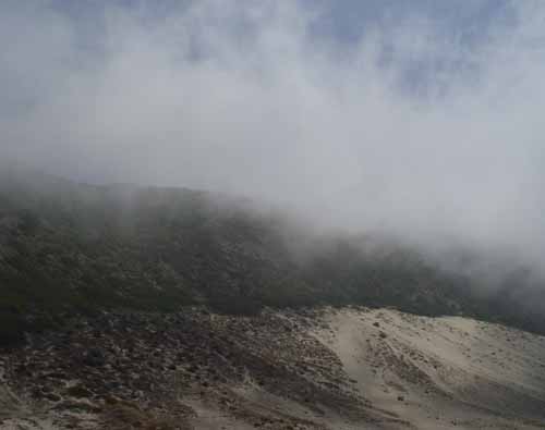 Fog On Dunes