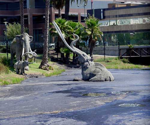 Mammoth Stuck In La Brea Tar Pits