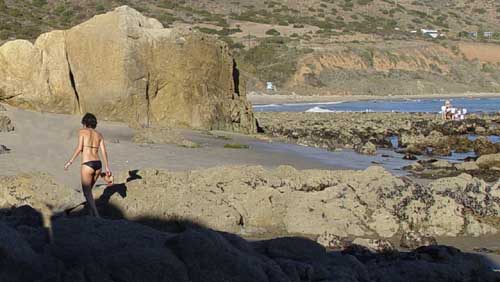 Ranger Tide Pool Tour