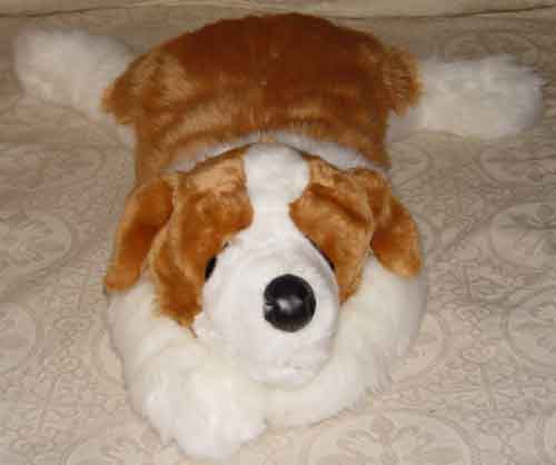 Saint Bernard DOG