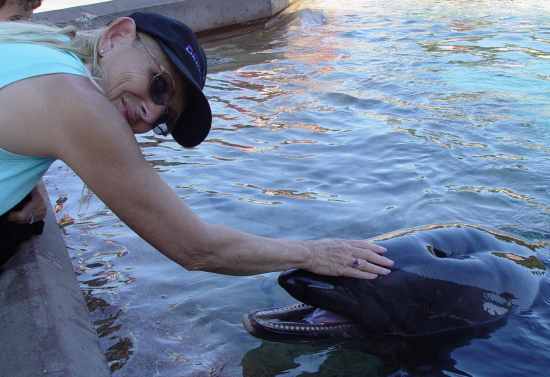 Sharon & Dolphin