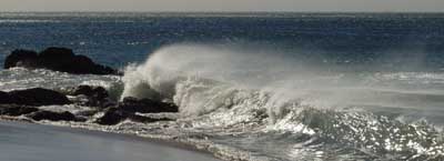 Wind Blown Waves